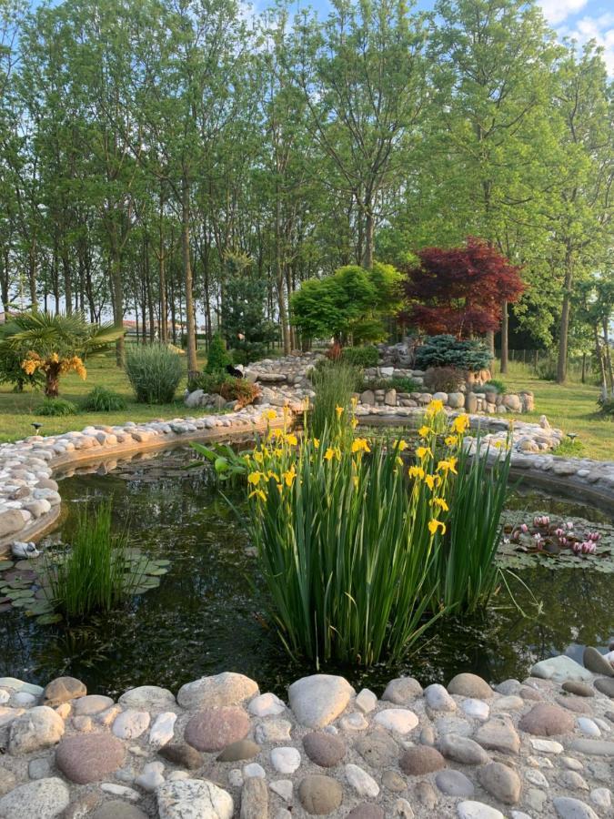Pool & Garden Villa Lelia Мирано Екстериор снимка